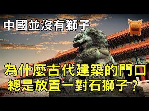 匯豐石獅子|【hsbc 石獅子】HSBC 石獅子傳奇：80 年守護總行，二戰險被熔。